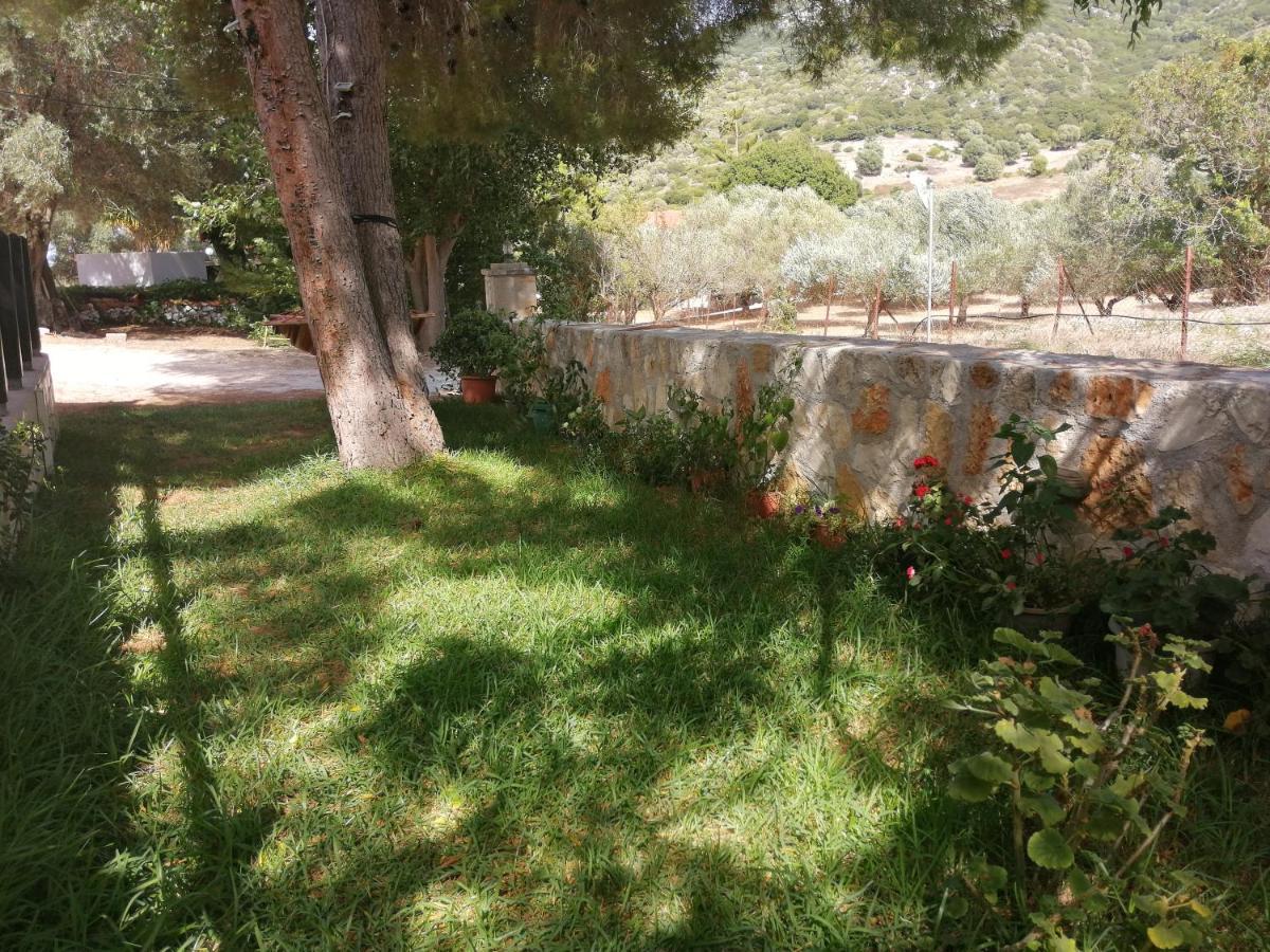 Athéras Reginas Studios מראה חיצוני תמונה