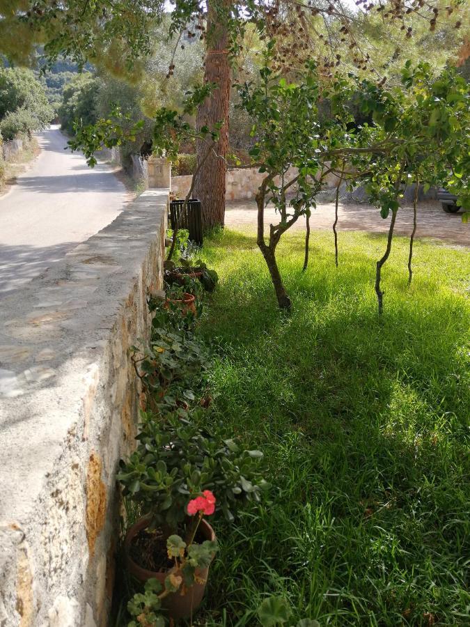 Athéras Reginas Studios מראה חיצוני תמונה